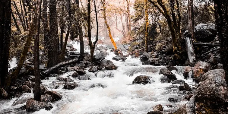 Water flowing down a creek