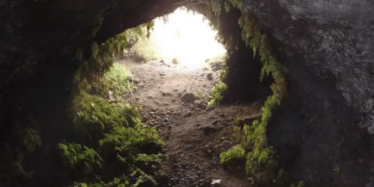 Cave Opening in Hawaii