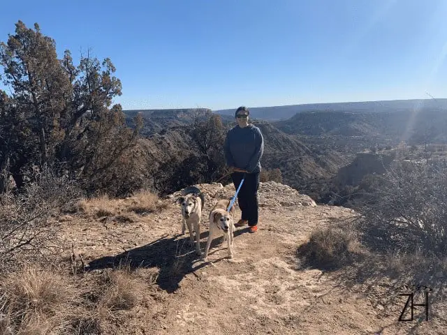 Chompers and Mia Hiking in the Cold