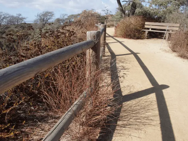 Torrey Pines State Natural Reserve