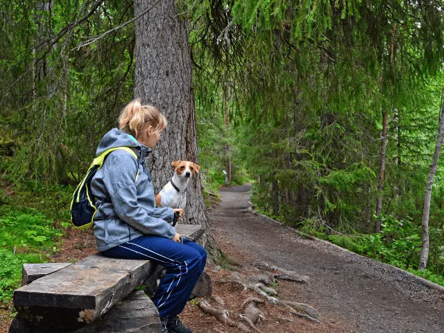 Taking a Break During a Hike