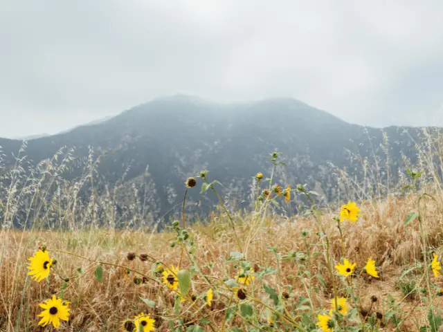 Eaton Canyon Trail