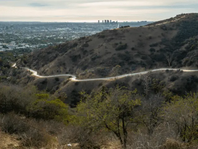 Runyon Canyon