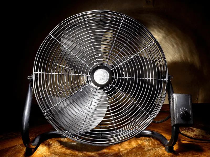 Electric Fan